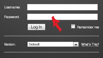 redtail email login step 2