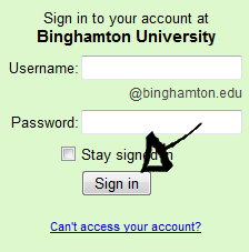 binghamton university mail login step 3
